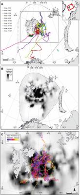 Foraging movements of humpback whales relate to the lateral and vertical distribution of capelin in the Barents Sea